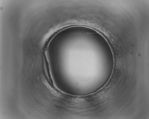 X0000087391503200704271609