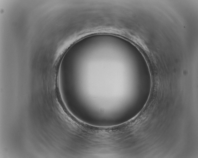 X0000087391504200704271609