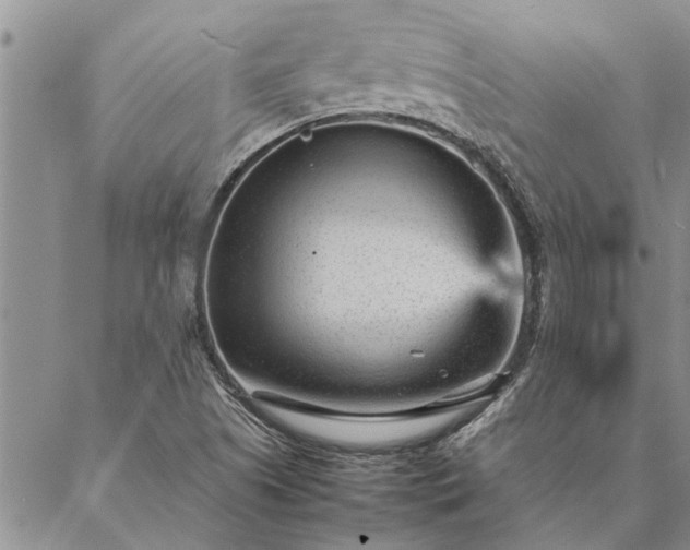 X0000087391505200704271609