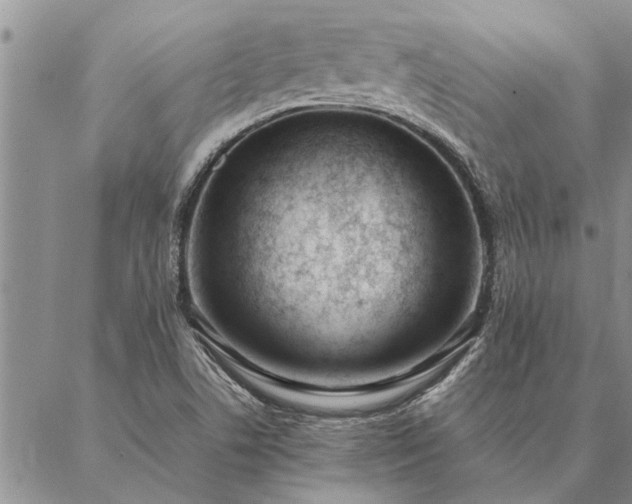 X0000087391506200704271609