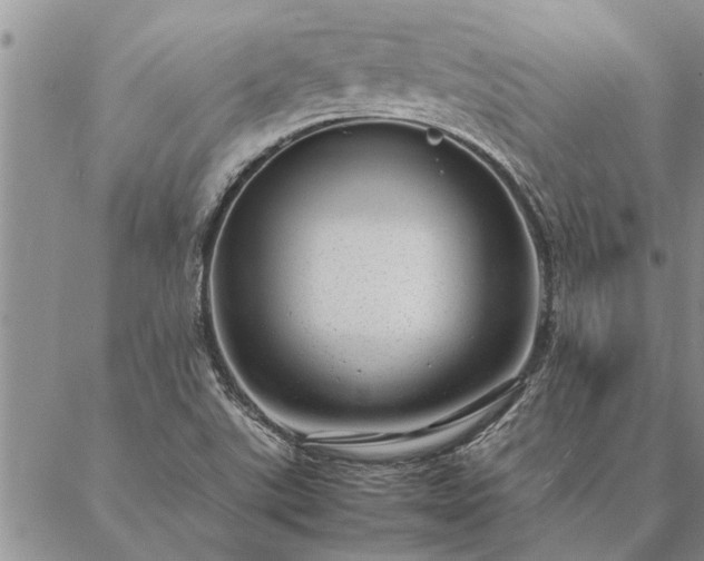 X0000087391507200704271609