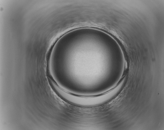 X0000087391508200704271609