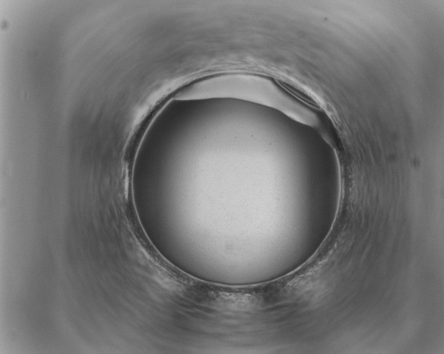 X0000087391509200704271609