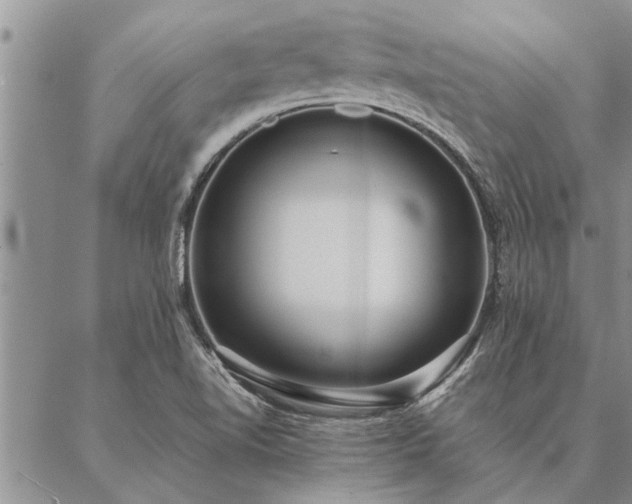 X0000087391510200704271609