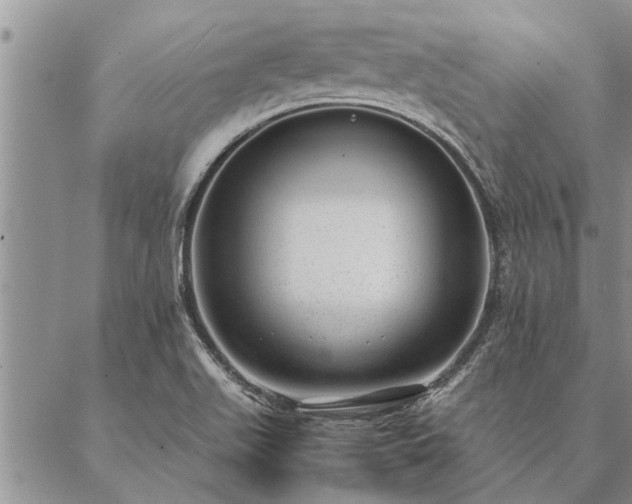 X0000087391511200704271609