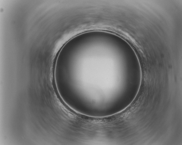 X0000087391512200704271609