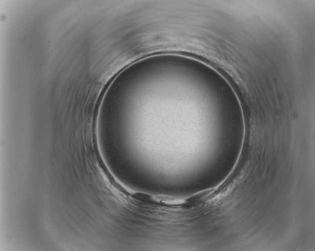 X0000087391513200704271609