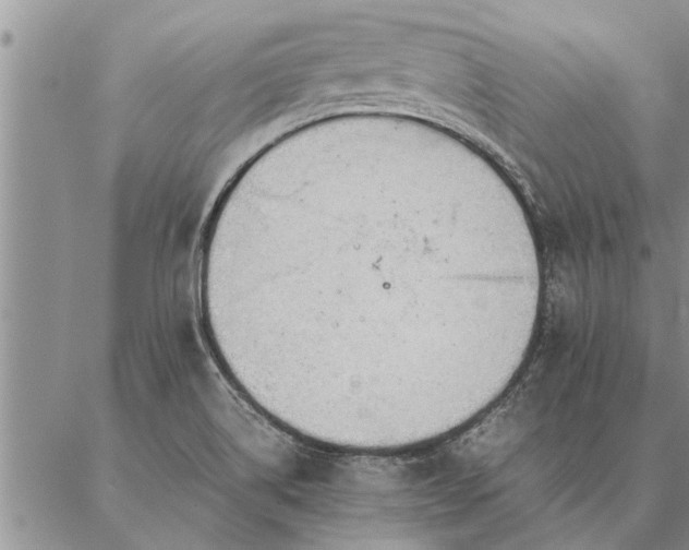 X0000087391514200704271609