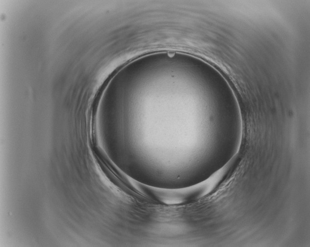 X0000087391515200704271609