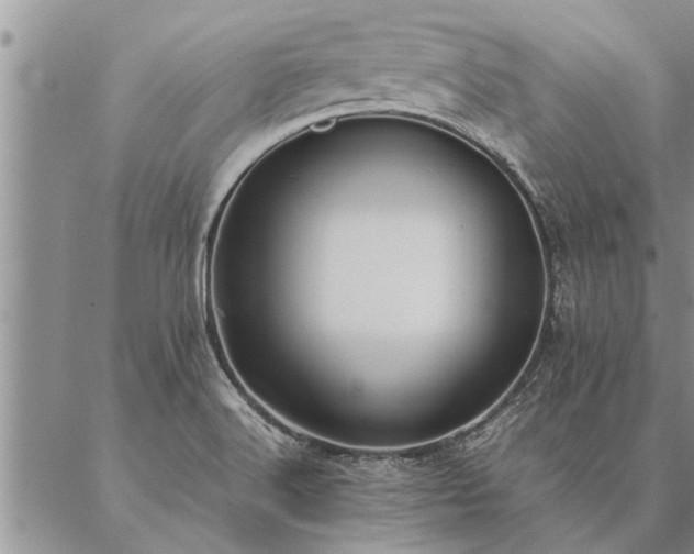 X0000087391516200704271609