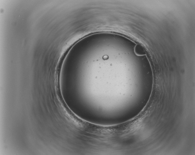 X0000087391517200704271609