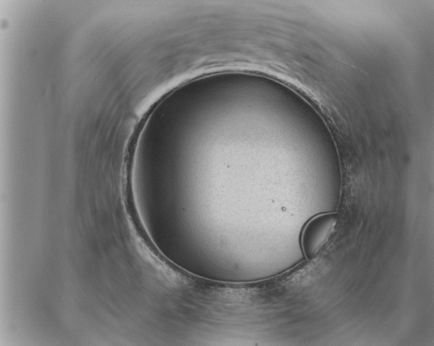 X0000087391518200704271609