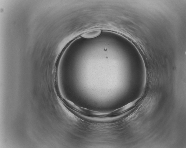 X0000087391519200704271609