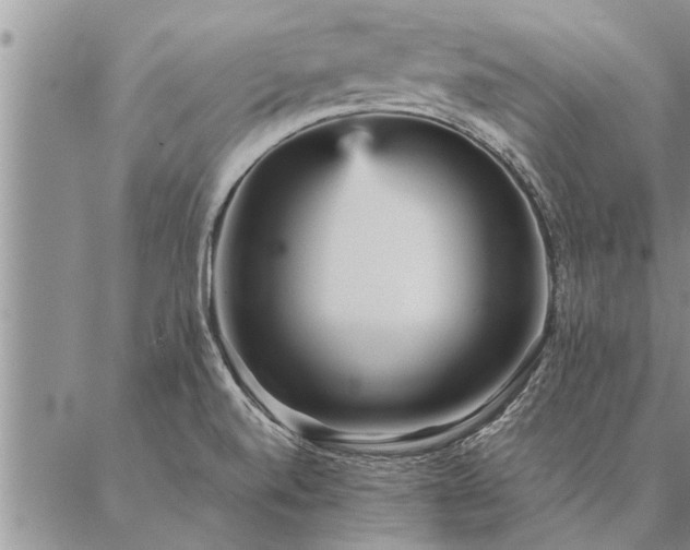 X0000087391520200704271609