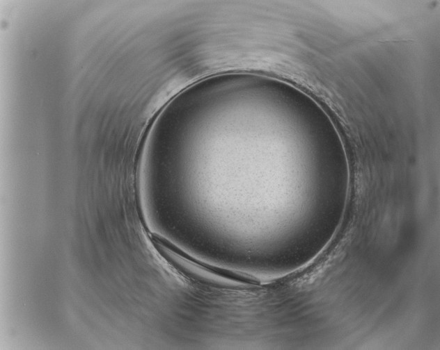 X0000087391521200704271609