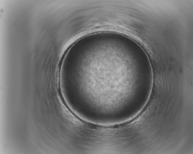 X0000087391522200704271609