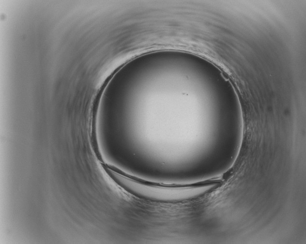 X0000087391523200704271609