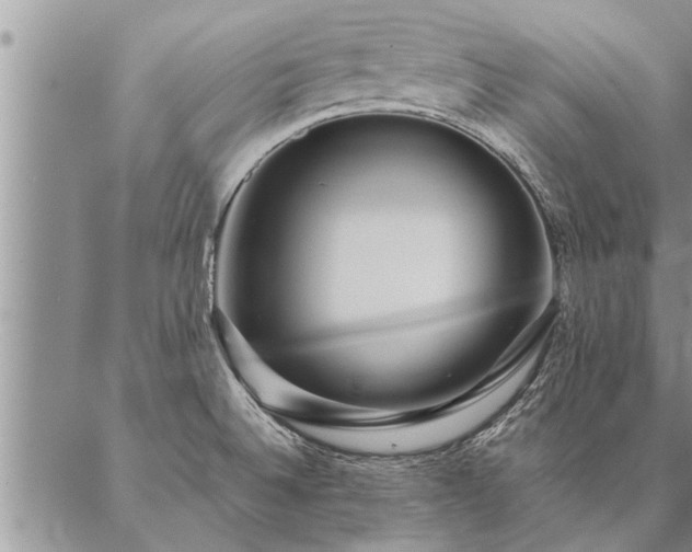 X0000087391524200704271609