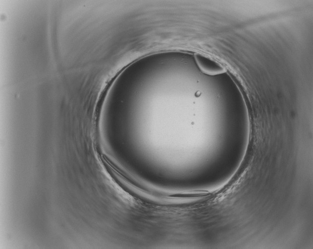 X0000087391525200704271609