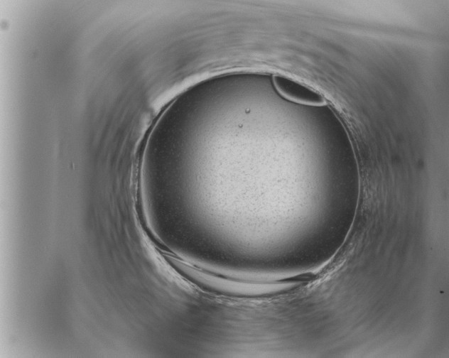 X0000087391526200704271609