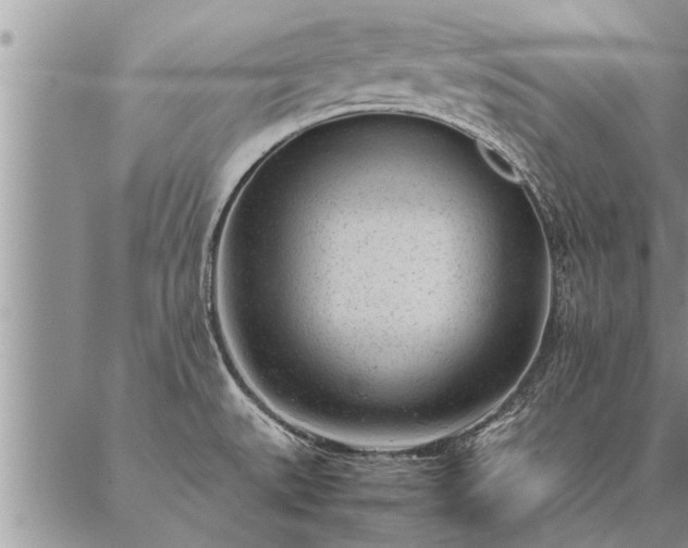 X0000087391527200704271609