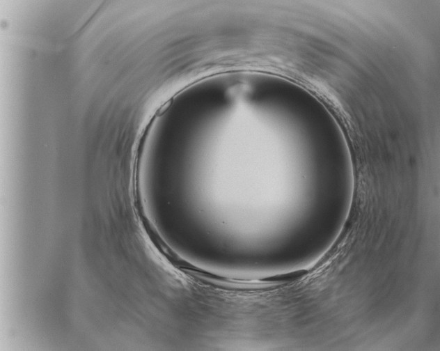 X0000087391528200704271609