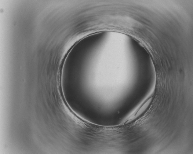 X0000087391531200704271609