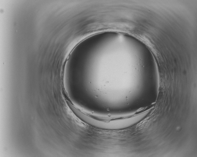 X0000087391532200704271609