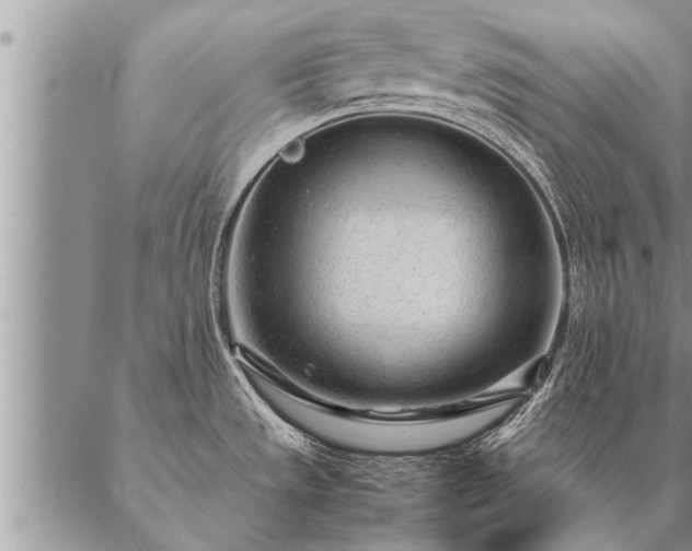 X0000087391533200704271609