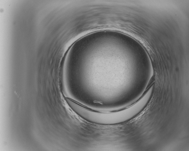 X0000087391534200704271609