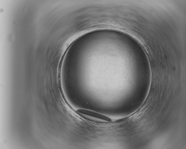 X0000087391535200704271609