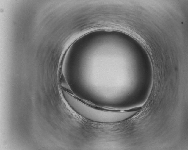 X0000087391536200704271610