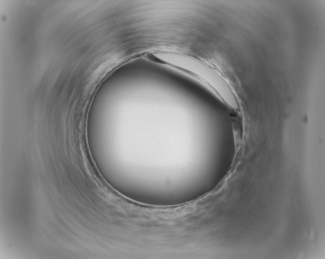 X0000087390001200705042022