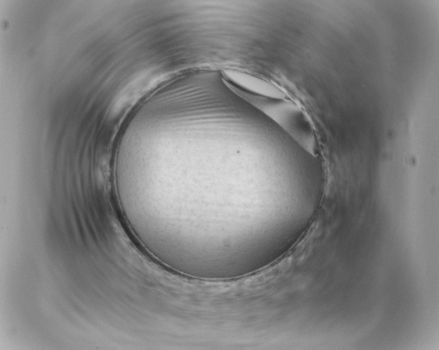 X0000087390002200705042022