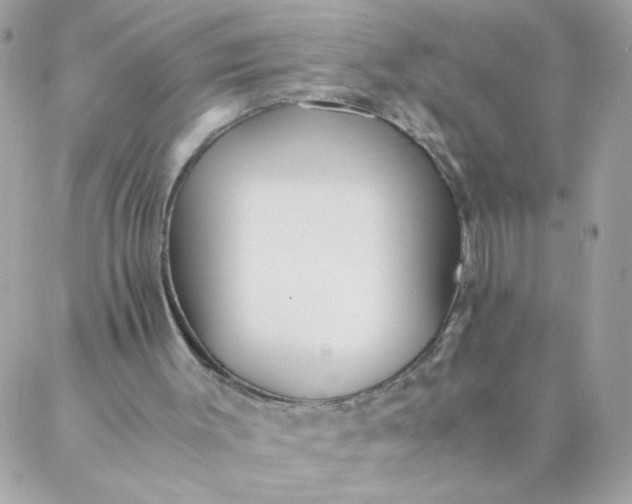 X0000087390003200705042022