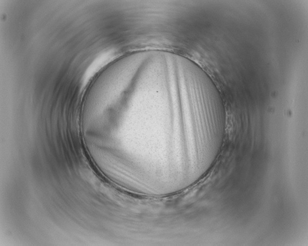 X0000087390004200705042022