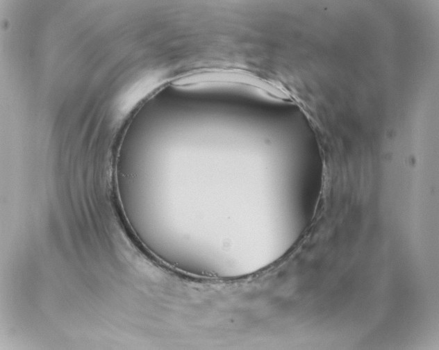 X0000087390005200705042022