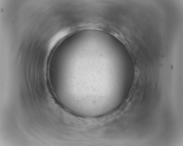 X0000087390006200705042022