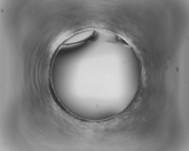 X0000087390007200705042022