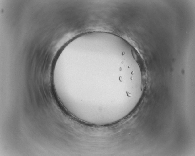 X0000087390008200705042022