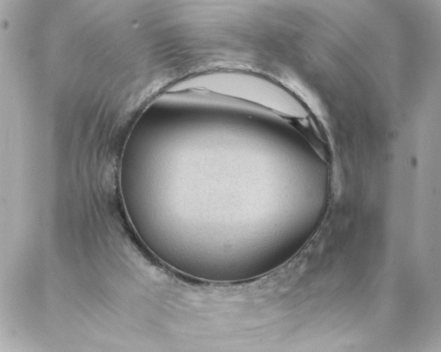 X0000087390009200705042022