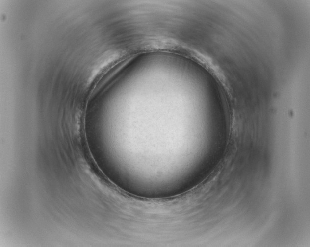 X0000087390010200705042022