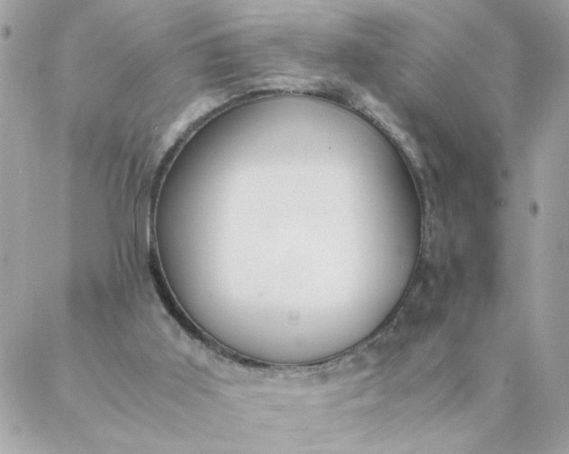 X0000087390011200705042022