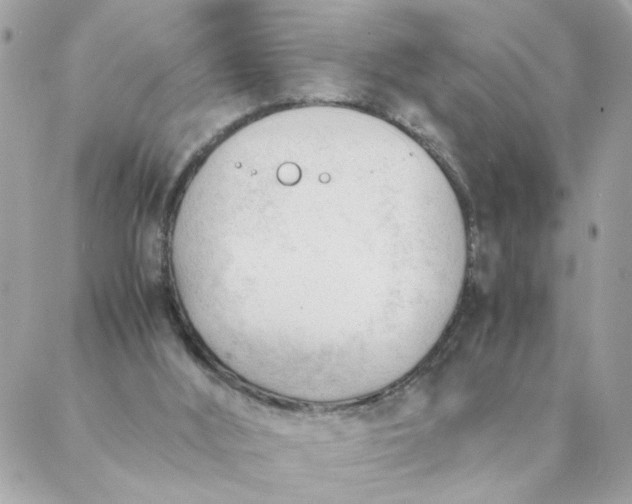 X0000087390012200705042022