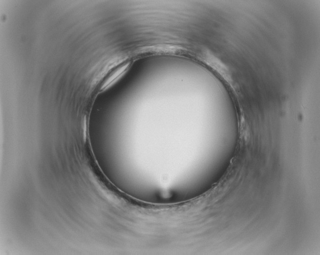 X0000087390013200705042022