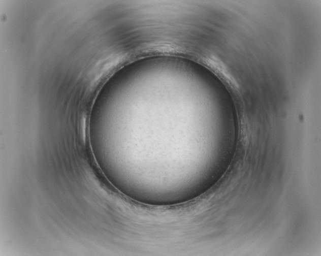 X0000087390014200705042022