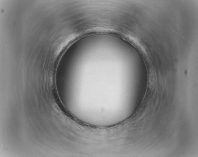 X0000087390015200705042022