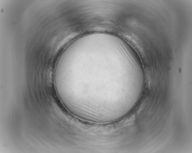 X0000087390016200705042022