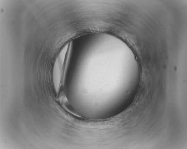 X0000087390017200705042022