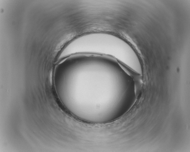 X0000087390019200705042022